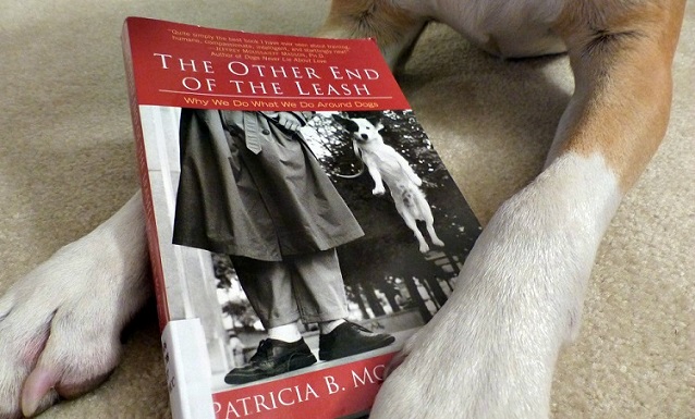 The Other End of the Leash Book Review - Training Tips for Humans