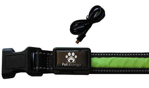 petabunga-usb-rechargeable-dog-collar