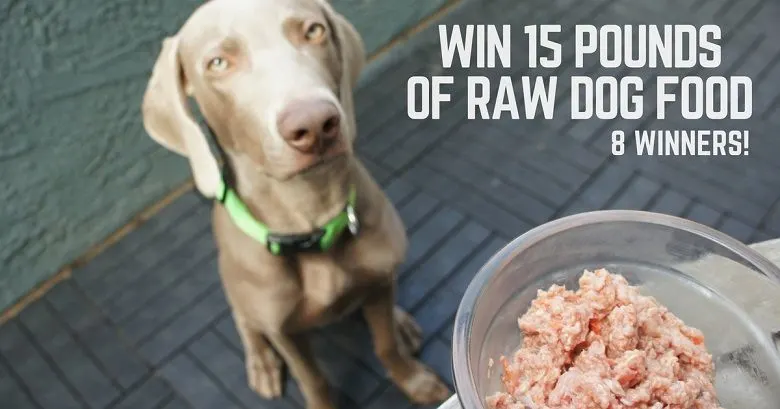 Win 15 pounds of raw dog food