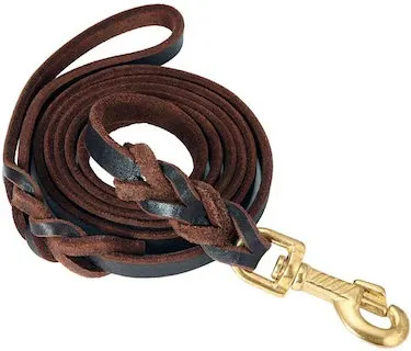 6-foot leather leash