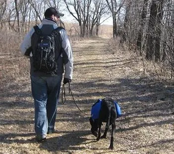 Man and dog walking together in the woods with backpacks