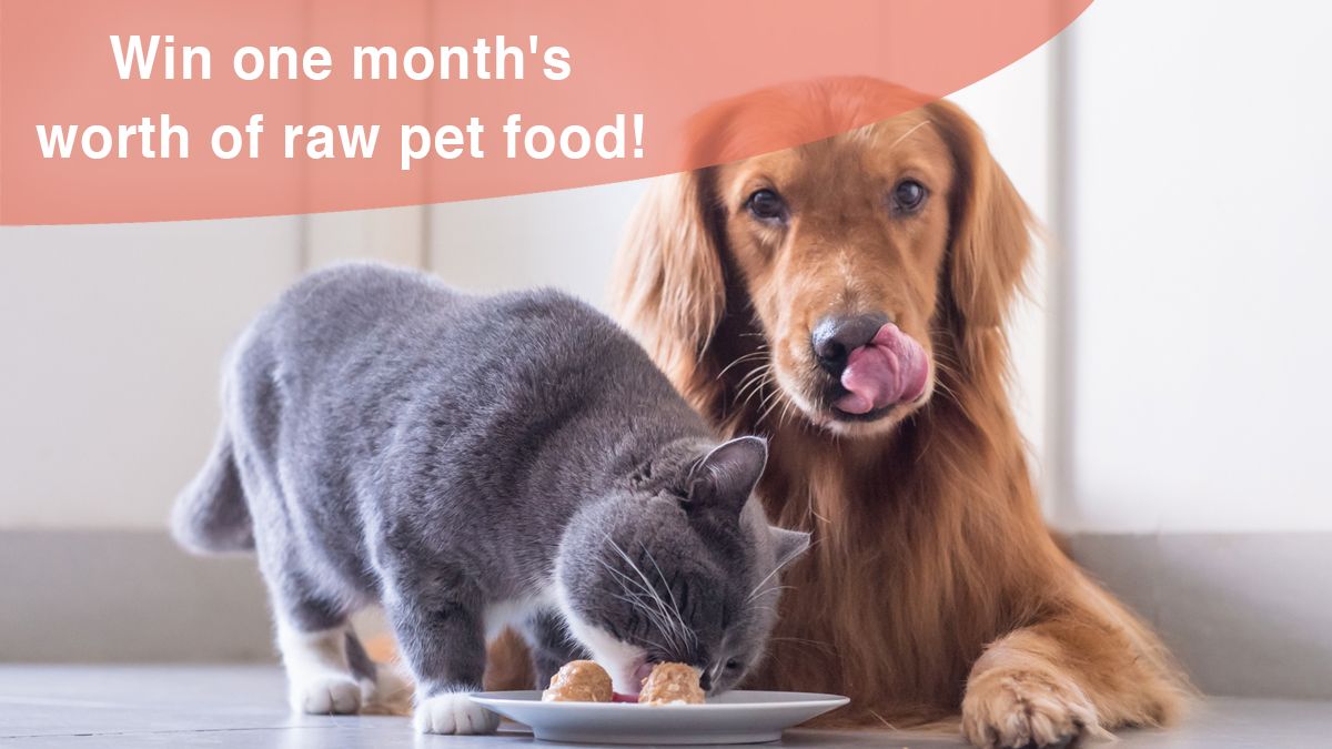 Raw pet food giveaway