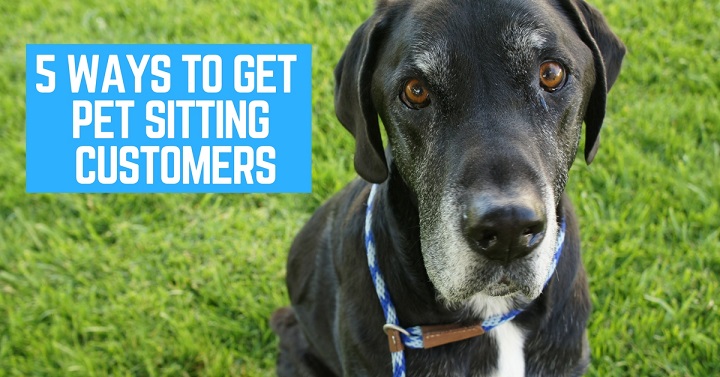 how to get pet sitting customers