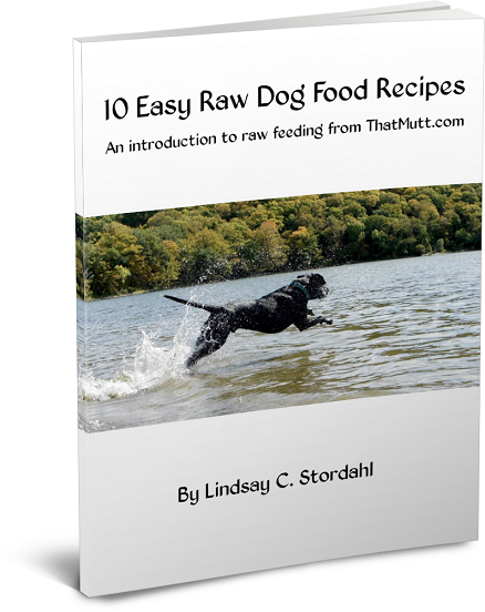 10 easy homemade raw dog food recipes BARF diet