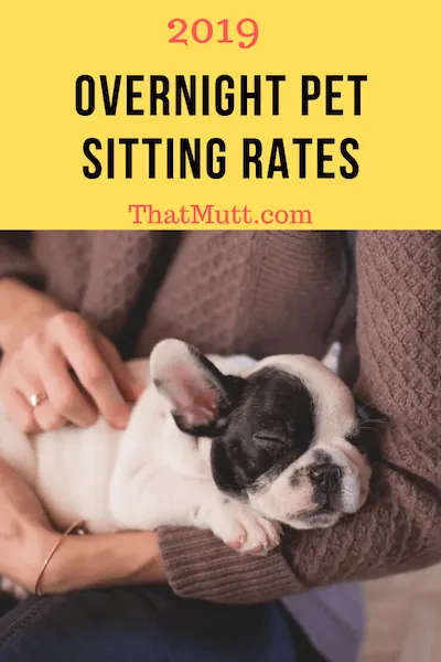 2019 pet sitting rates