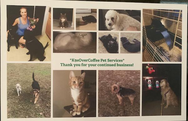Holiday card from pet sitter