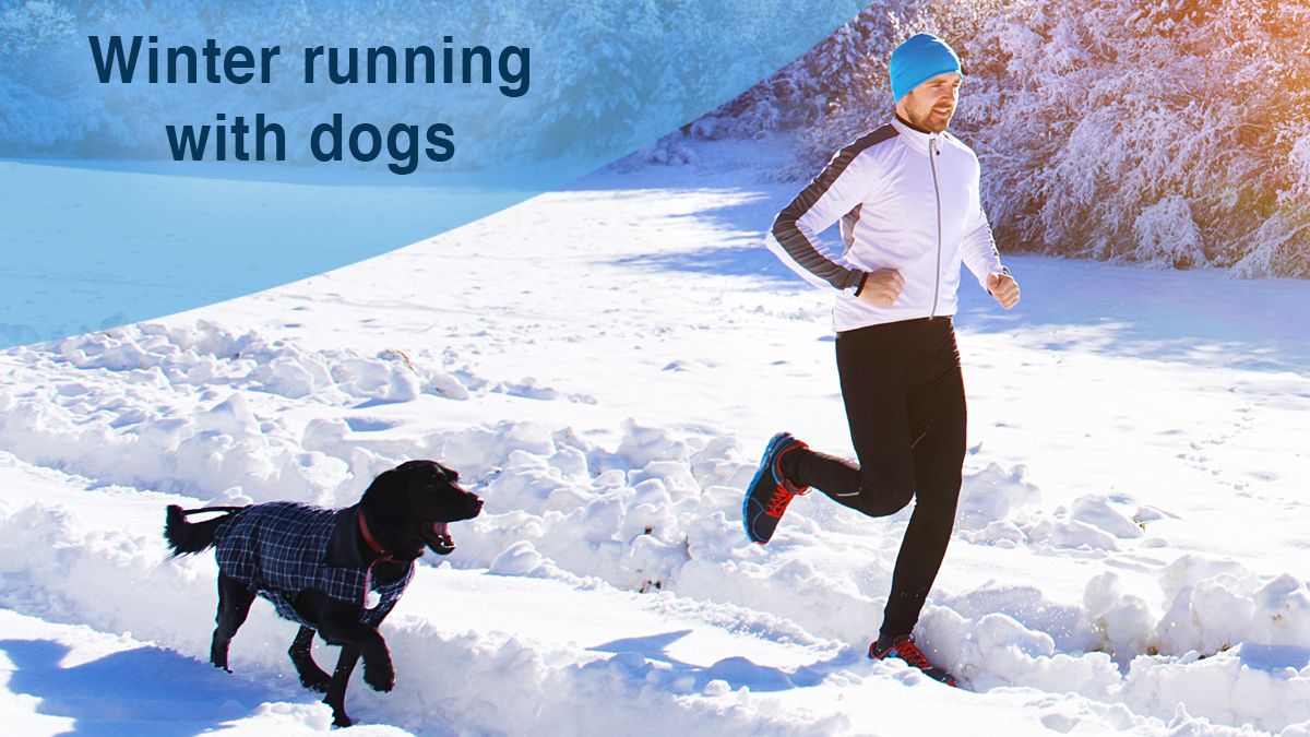 Winter running with dogs