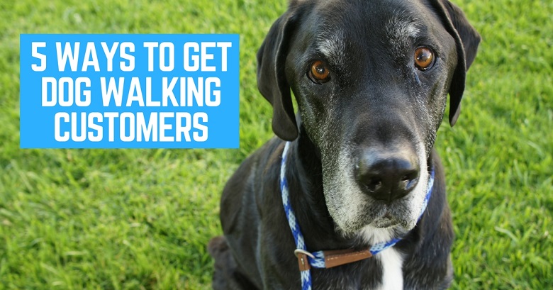 5 ways to get dog walking customers