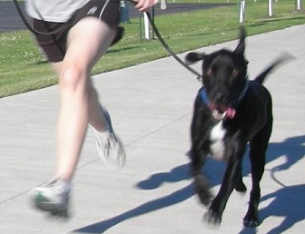 Run with your dog to stop a dog from whining on walks