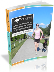 How to start a dog walking business