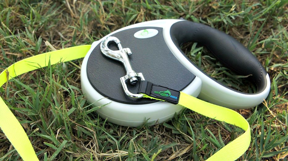 Retractable leashes teach dogs to pull