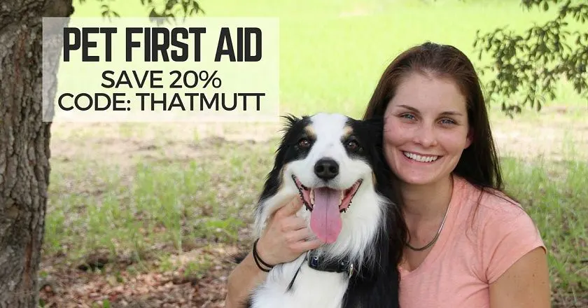 Online Pet First Aid course