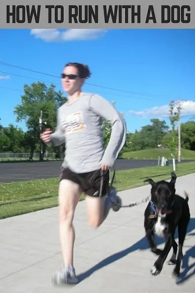 how to run with a dog