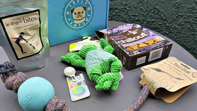 That Mutt limited edition dog subscription boxes