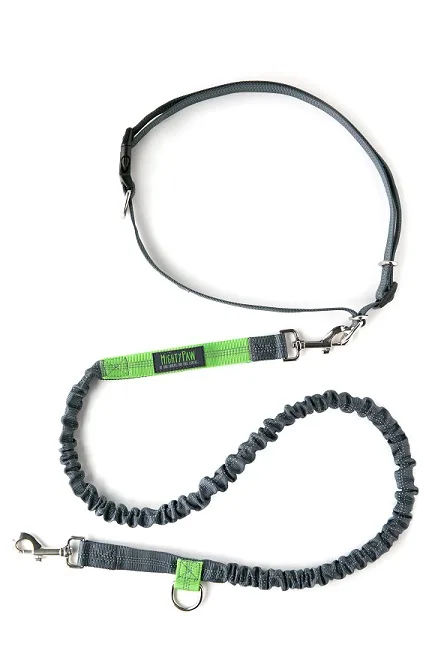 Mighty Paw hands free bungee leash