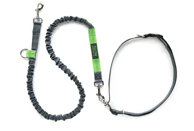 Mighty Paw hands free bungee leash review