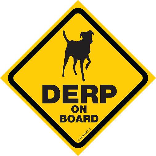 Derp on Board