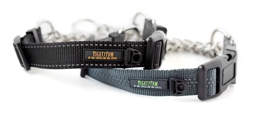 Mighty Paw martingale dog collar