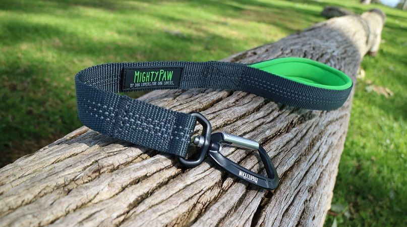 Mighty Paw traffic lead review