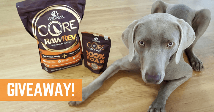 Wellness CORE RawRev dog food review
