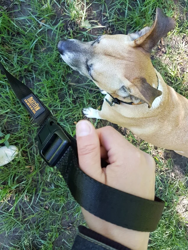 Mighty Paw long training leash