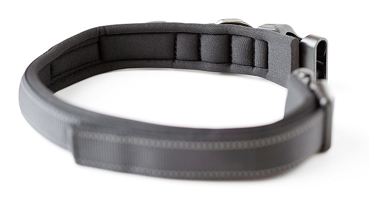 Mighty Paw padded sport collar review