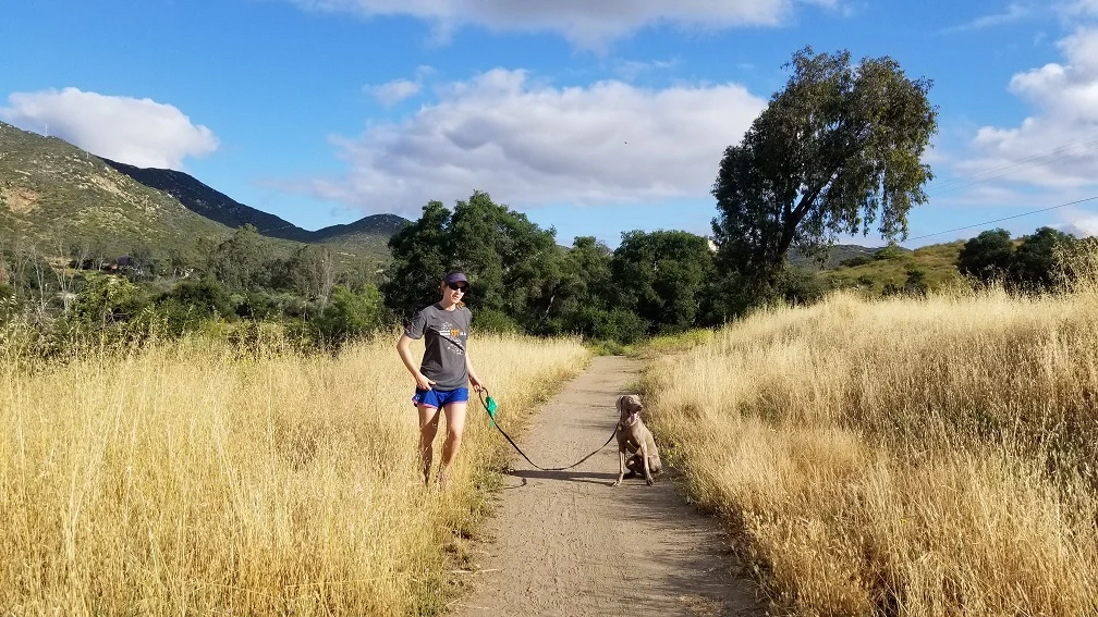 Ultra marathon training with dogs