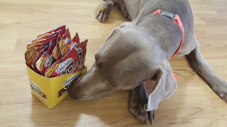 Delectables dog treat review