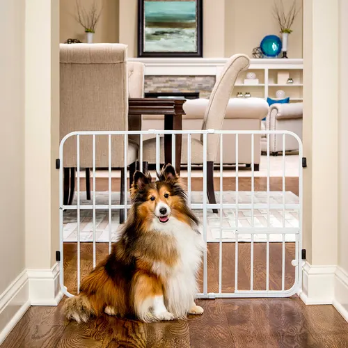 Carlson Pet Products pet gate