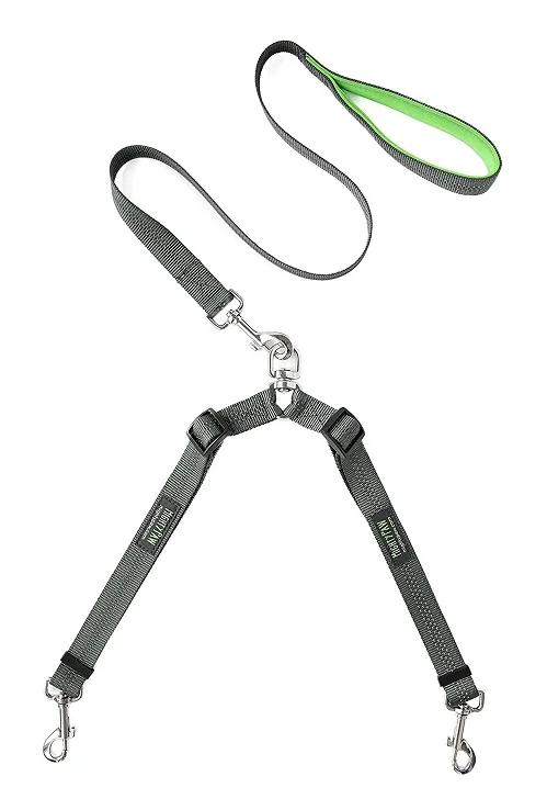 Mighty Paw double dog leash review