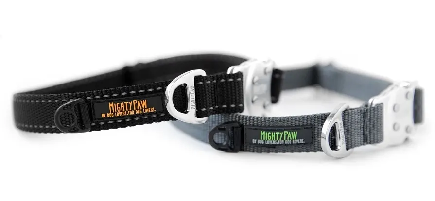 Mighty Paw metal buckle collar