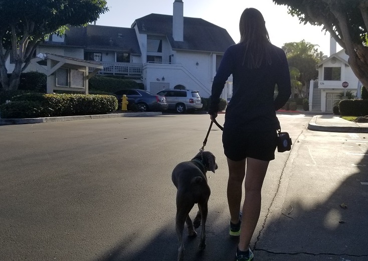 Me walking my dog Remy