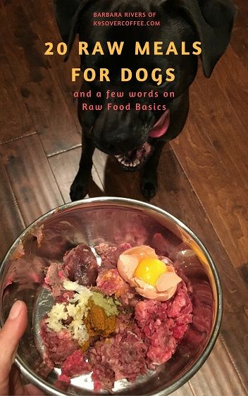 20 raw meals for dogs ebook