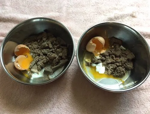 Primal patties with raw egg