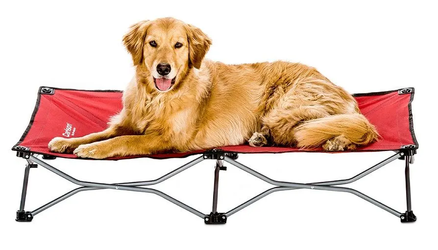 Carlson Pet Products portable dog bed