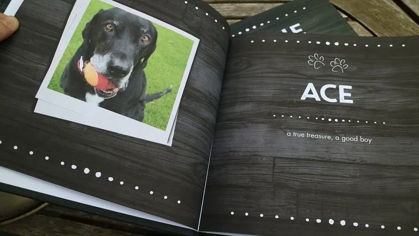 Put me in the story - personalized dog books