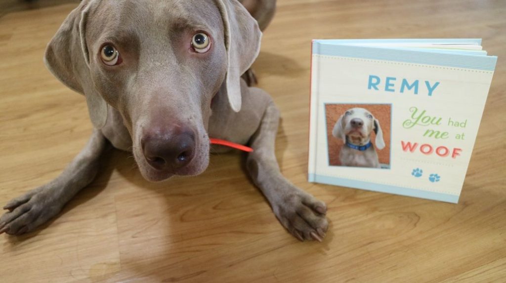 Put Me in the Story - Personalized Dog Books