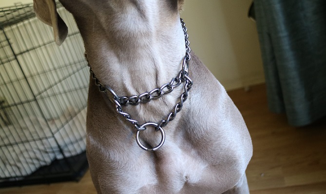 Chain martingale collar