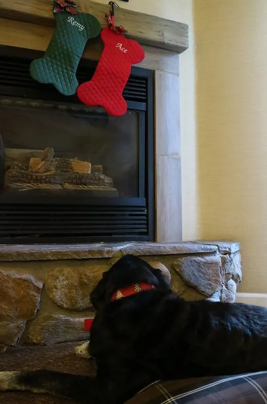 Ace and his dog bone Christmas stockings