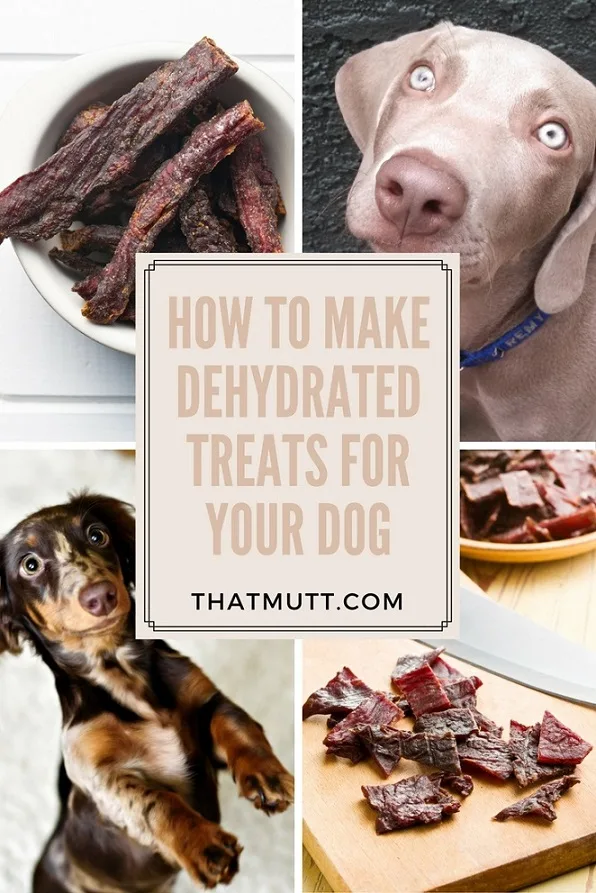 How to make dehydrated dog treats for your pup!