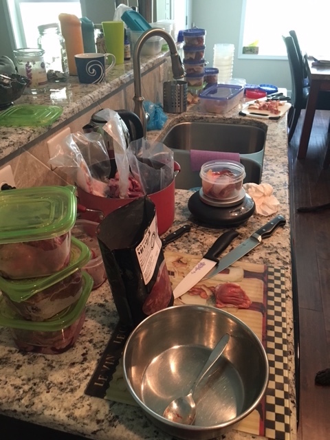 Supplies for feeding raw dog food - bowls, knives, cutting board, scale