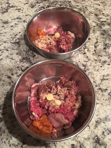 Raw dog food supplies - stainless steel dog bowls