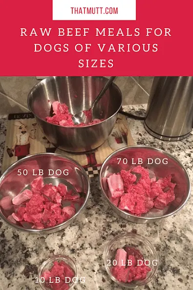 Easy raw dog food recipes using raw beef #rawdogfood #rawfed #rawfeeding #rawdogfoodcommunity