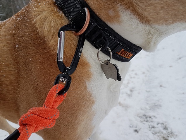 Mighty Paw rope leash review