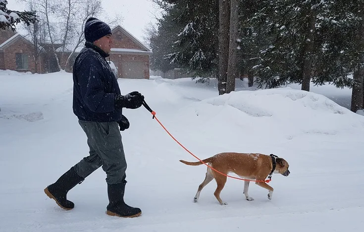 Testing out our Mighty Paw rope leash