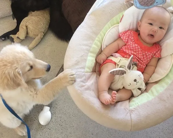 Baby Emma with puppy - How to prepare your dog for baby