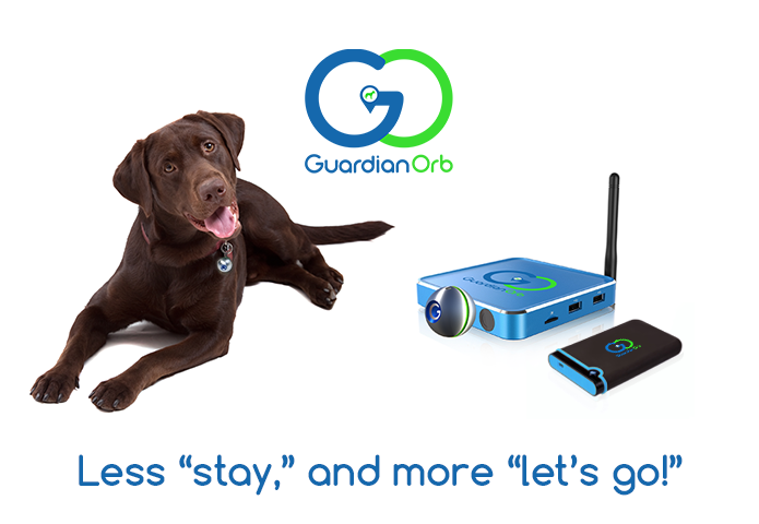 Guardian Orb Pet GPS tracker