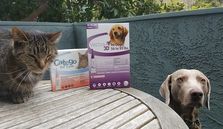 Catego for Cats and Vectra 3D for dogs