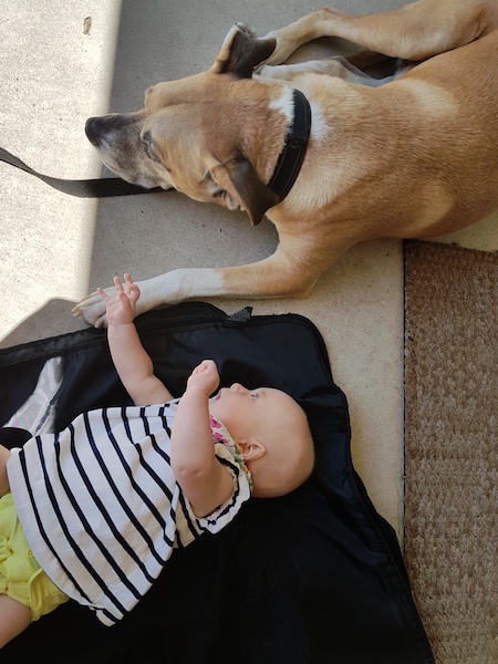 Dog and baby resources - baby Ellie and my dog Baxter