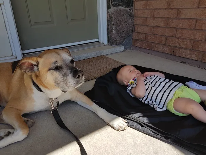 Dog and baby resources - baby Ellie and my dog Baxter